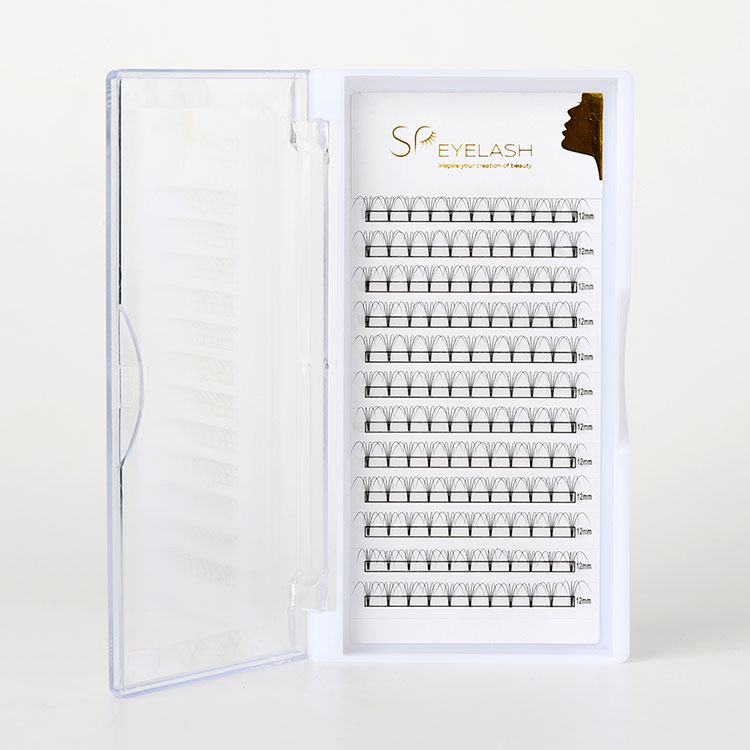 Cén fáth a bhfuil Premade Fan Lashes Ag Múnlú Todhchaí Eisínteachtaí Gairmiúla Lash?