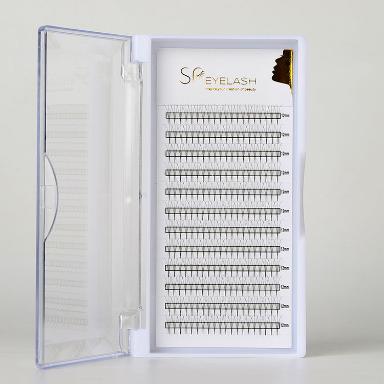 Conas Lucht leanúna Pointy Promade a Roghnú le haghaidh Eisínteachtaí Lash níos tapúla, níos iomláine agus níos buan?