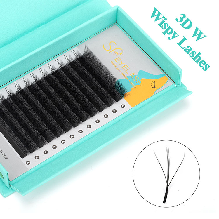 Eisínteachtaí 3D W Wispy Lash