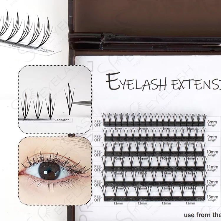 Lash anime