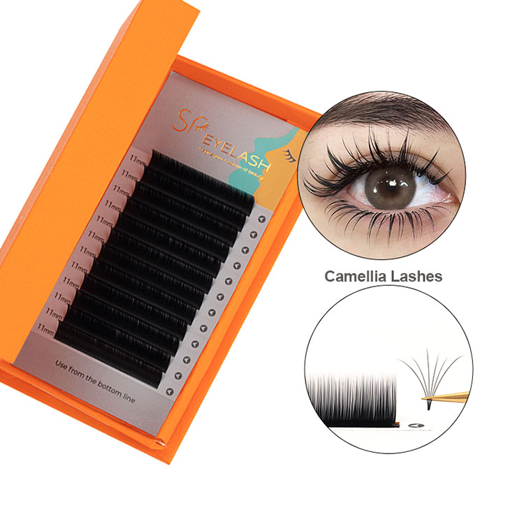 Camellia Easy Fanning Lashes Imleabhar