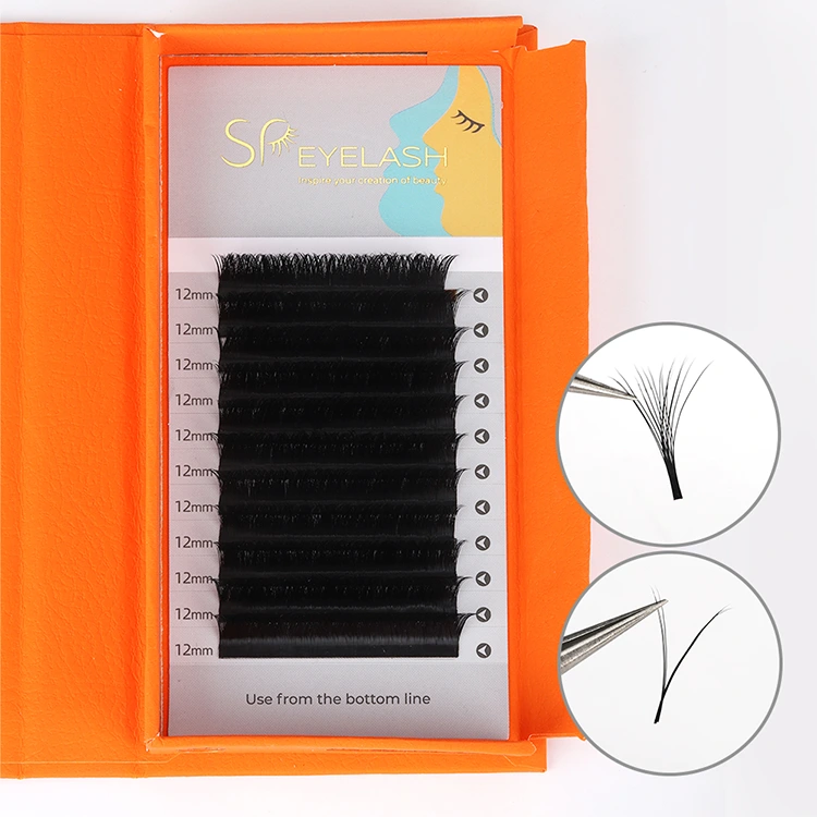 Lashes Cilia v Wave