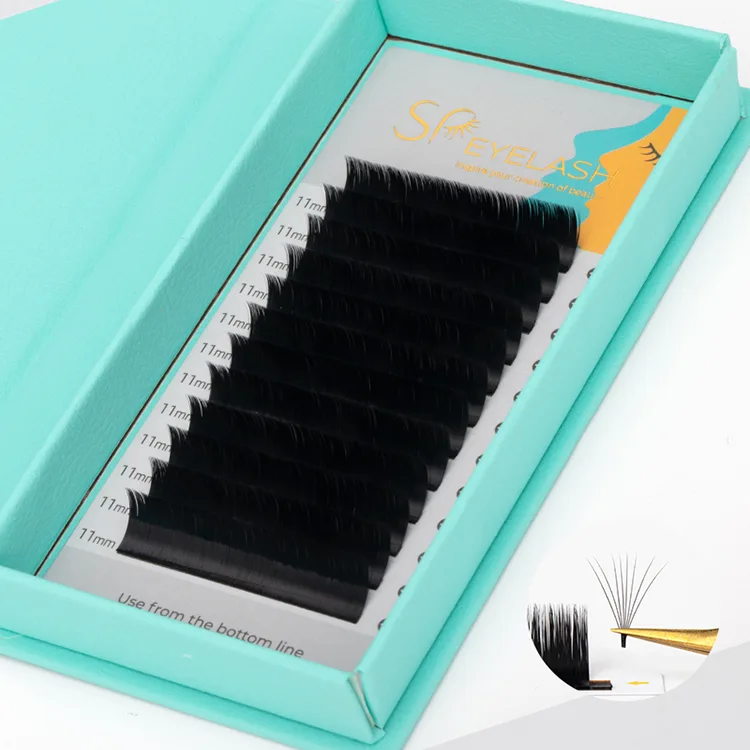 Lashes Rúise Fan Éasca