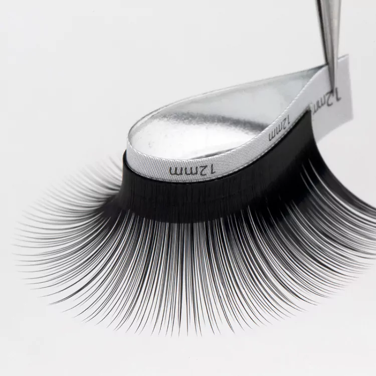 Camellia Lash Extensions